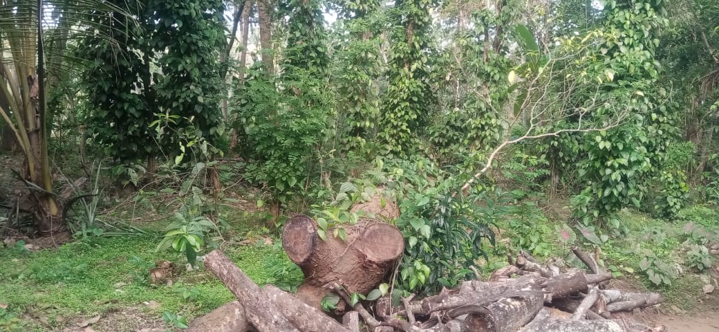 Land for Sale in Melsiripura