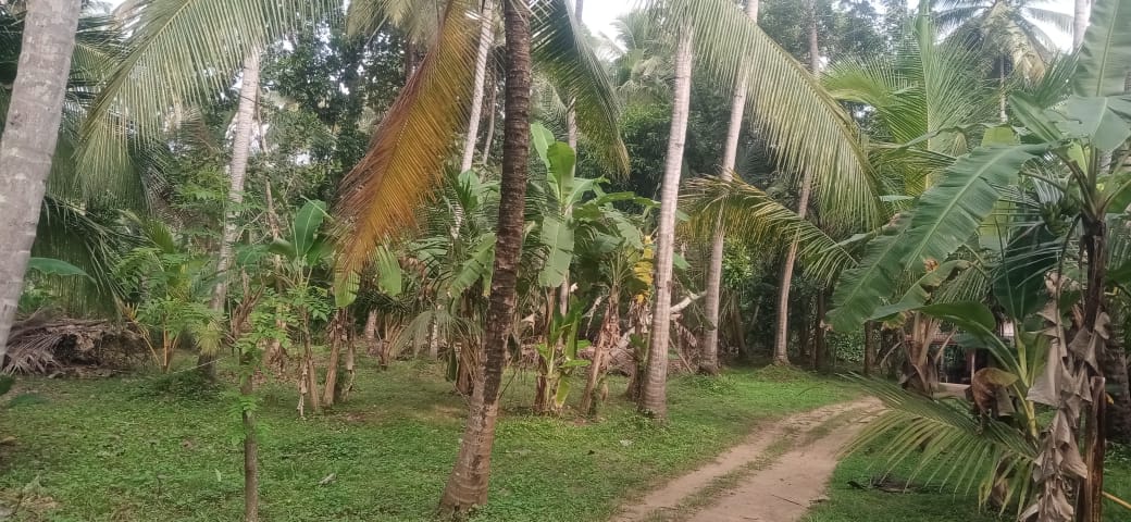 Land for Sale in Melsiripura