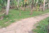 Land for Sale in Melsiripura