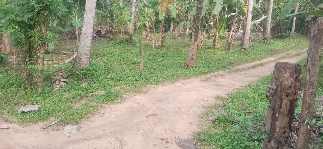 Land for Sale in Melsiripura