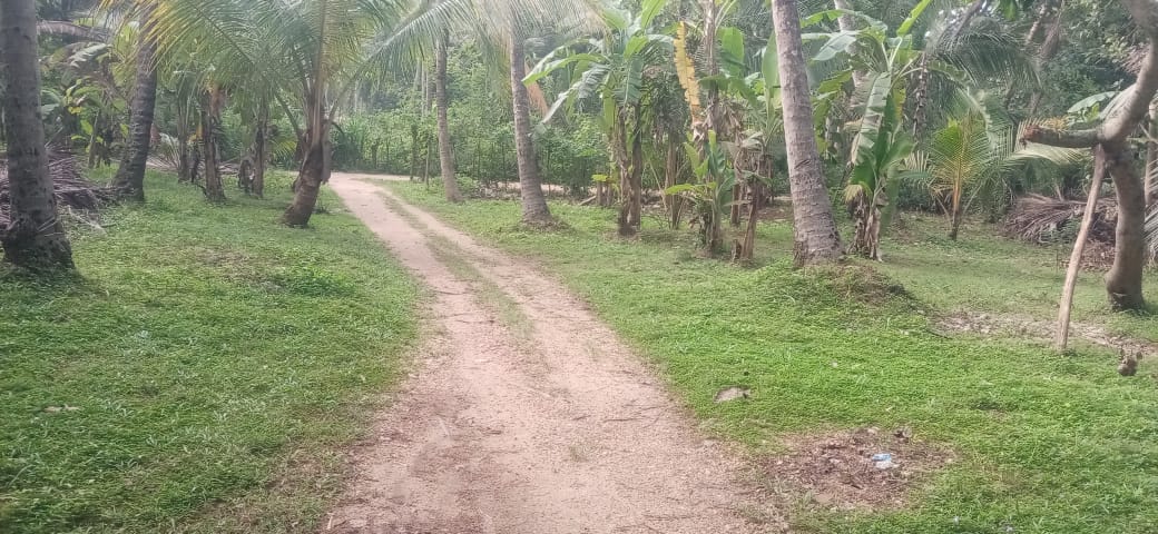 Land for Sale in Melsiripura